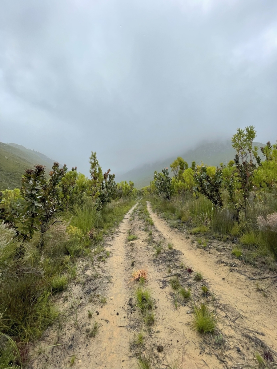 0 Bedroom Property for Sale in Joubertina Eastern Cape